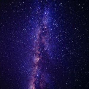 Meet your Posher, Wesley